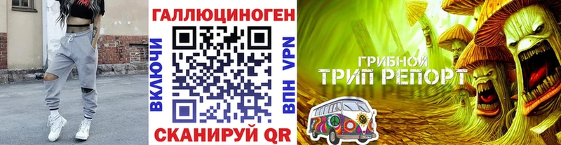 MEGA рабочий сайт  Цимлянск  Галлюциногенные грибы мицелий 